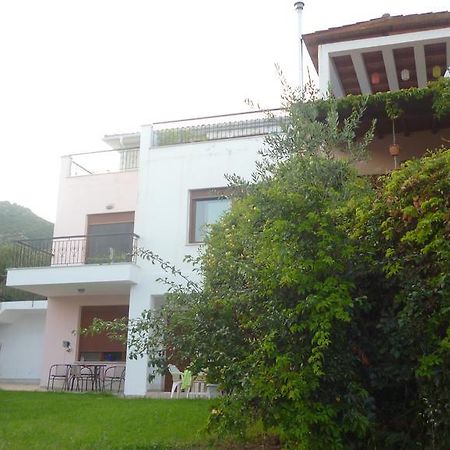 Villa Athina Palaiontsiflikion Bagian luar foto